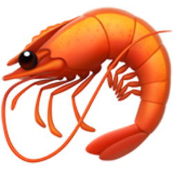 Shrimp